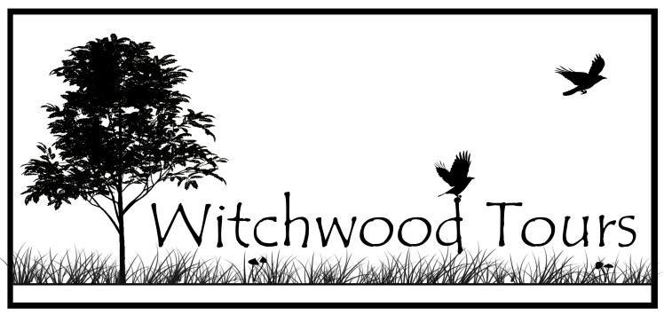 Witchwood Tours logo with mountain ash tree, grass, and flying birds
